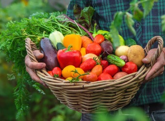 Transform Your Nutrition with Organic Meal 1 Blog Image
