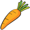 wortel